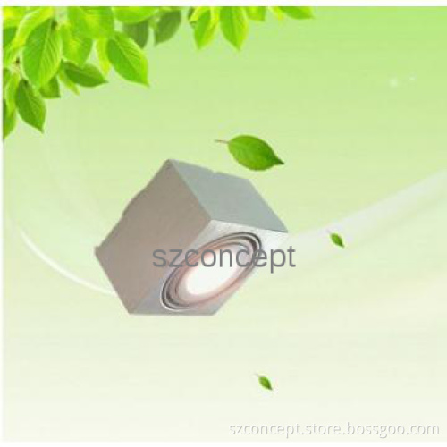 10W LED AR111 Ceiling Light, led Hanging Light - P